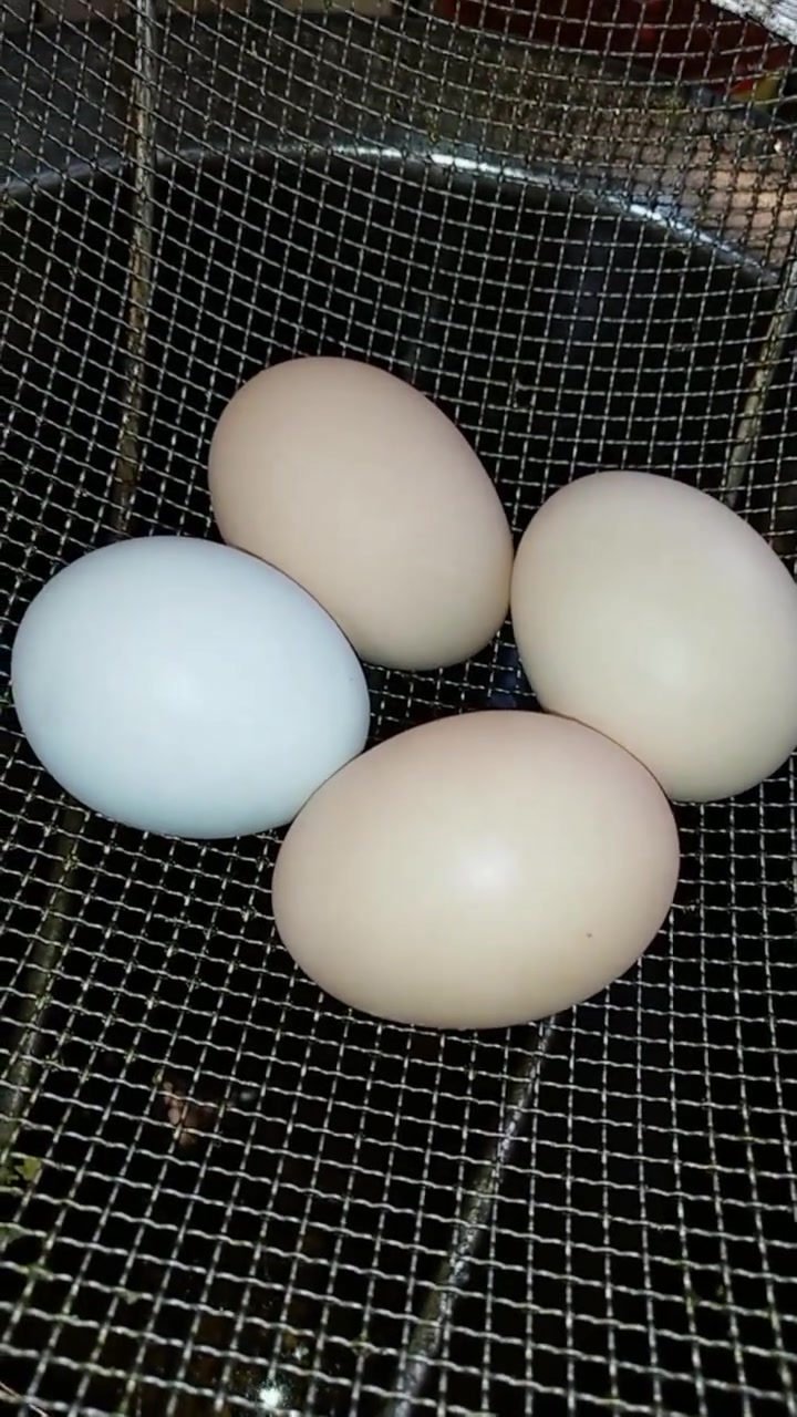 山菜之王这么做营养不流失,感觉比肉更好吃