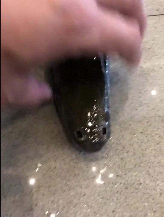 福鳄鱼原来长这个样子,那能和其他观赏鱼混养吗?达人是这样说的