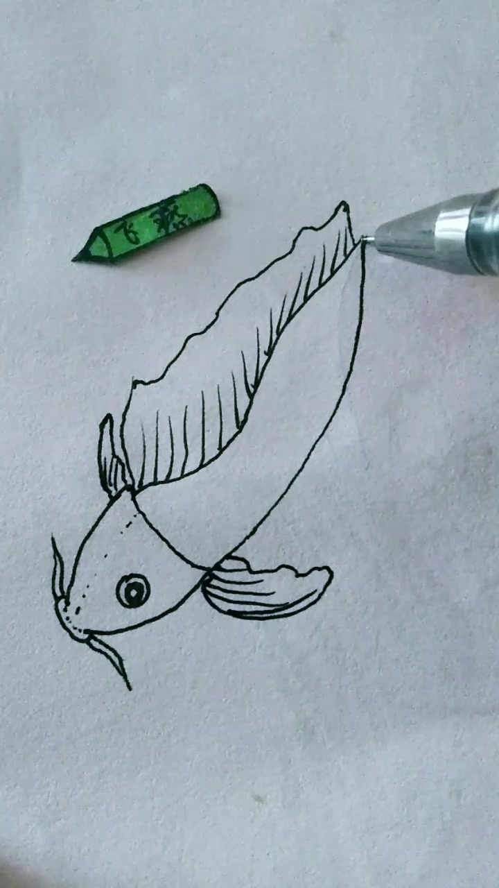 简笔画漂亮的鲤鱼