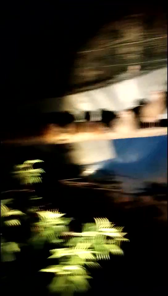 竹鸡养殖前景,看农村小伙一招搞定竹鸡