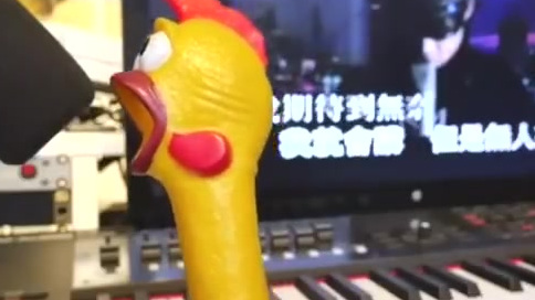 鸡你太美!尖叫鸡版各种翻唱!太魔性了!比人唱的都好~
