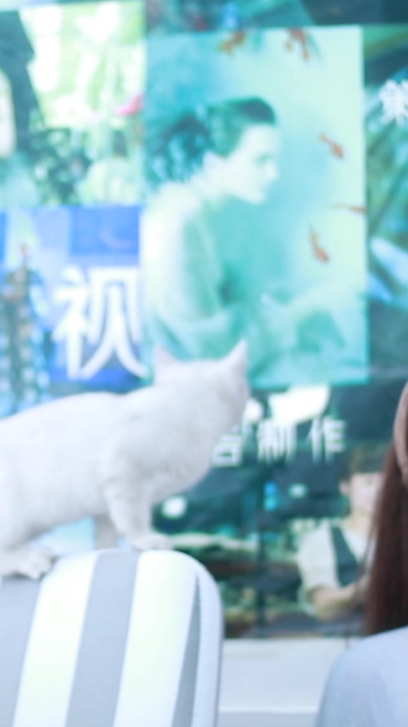 背景的那张90年代的海报亮了