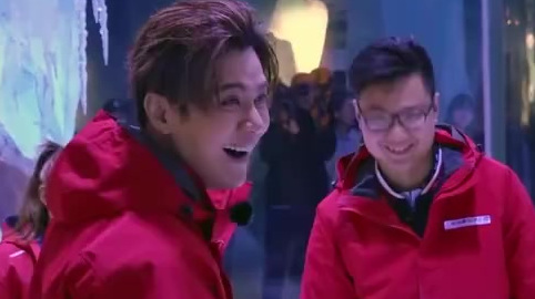 极挑团来海洋馆喂企鹅,左右摇晃好Q好萌哦!黄磊和王迅喂企鹅的样子像极了“老父亲”!小猪学企