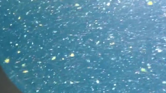 【首次曝光!“深海勇士”号公布海底2000米生物高清视频】庞大的盲虾群,生活在海底热液喷口