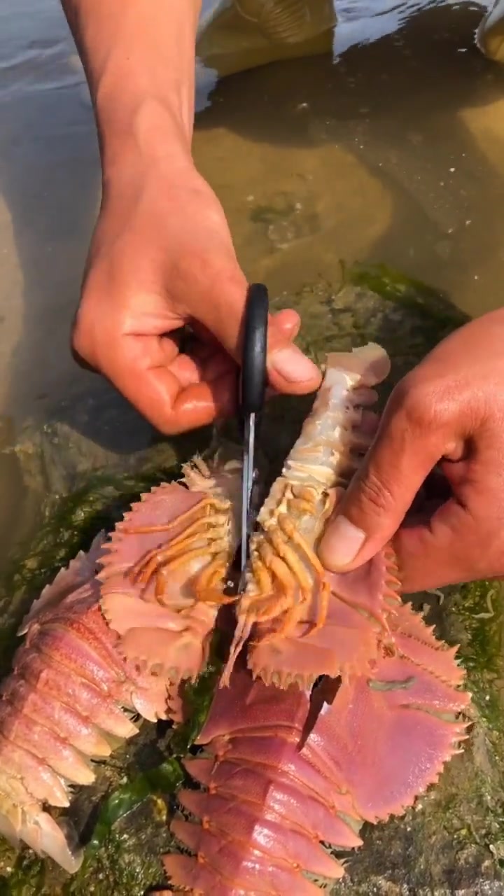 小伙在海边解剖琵琶虾,没想到里面的肉这么肥,有吃过的老铁吗