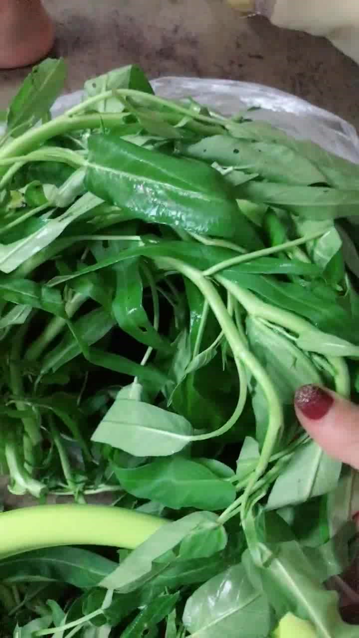 家庭小炒空心菜根,脆嫩爽口,美味好吃,超下饭