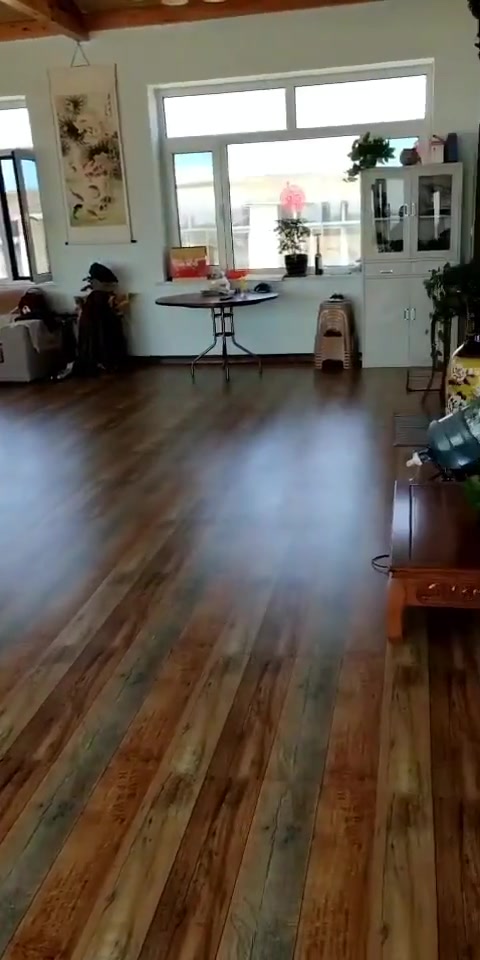 土豪为方便看鱼,把鱼塘搬进客厅,真会享受