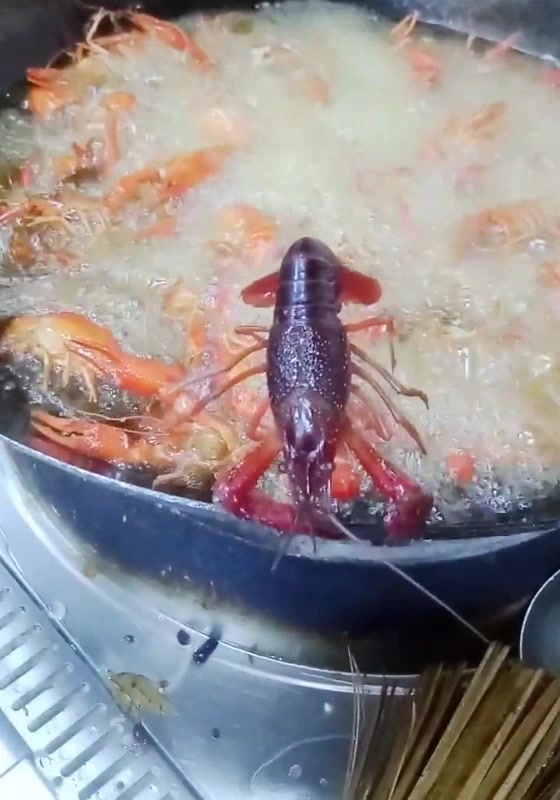 小龙虾:今天我才知道什么叫鸭梨山大!忍不住了