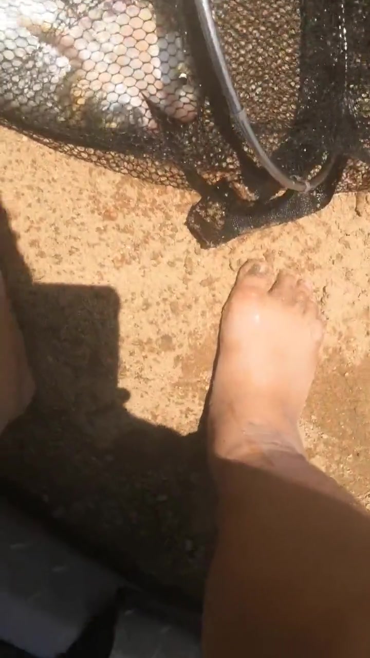 男子河边网到野生大鲤鱼,每一只都有5斤多,满满的全是鱼货!