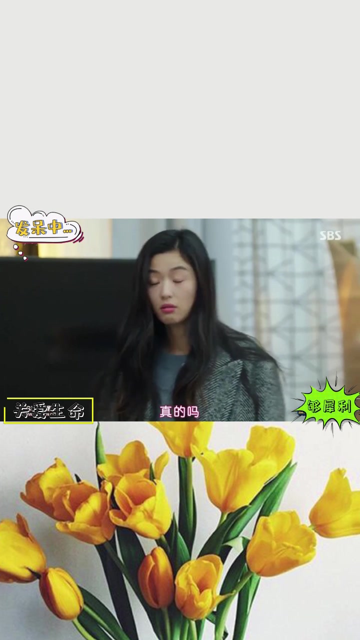 许俊宰欺负美人鱼不懂电视剧,居然忽悠她:我打电话帮你问问
