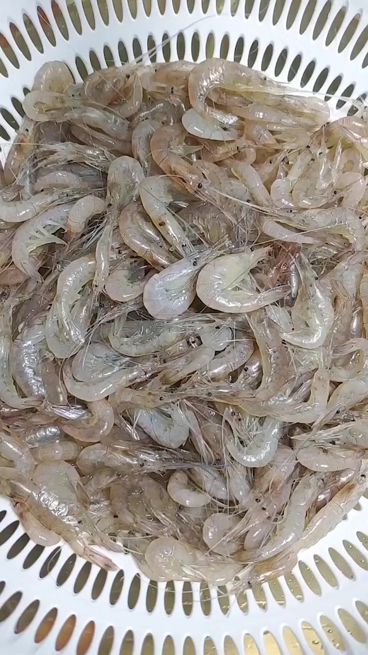 干炸小白虾,酥脆可口,营养更健康!记得收藏哦