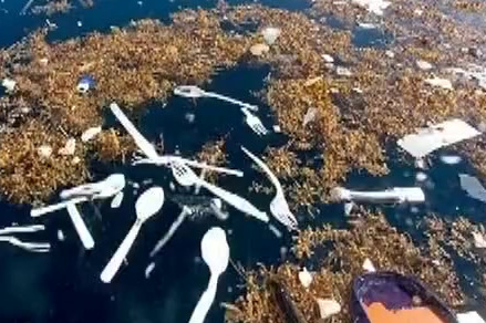 据估算,每年约有800万吨塑料垃圾进入海洋,全部加起来可以绕地球420圈,而超过50种鱼类