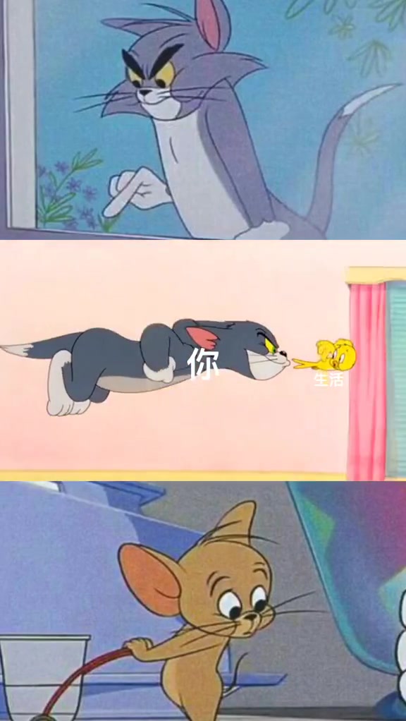 每次看到这一段《猫和老鼠》,都感觉像极了生活对我的态度!