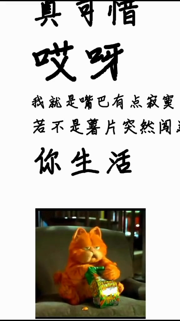 有趣表情包:二只猫咪一唱一和说妈妈不该吃薯片,最后这个背锅的