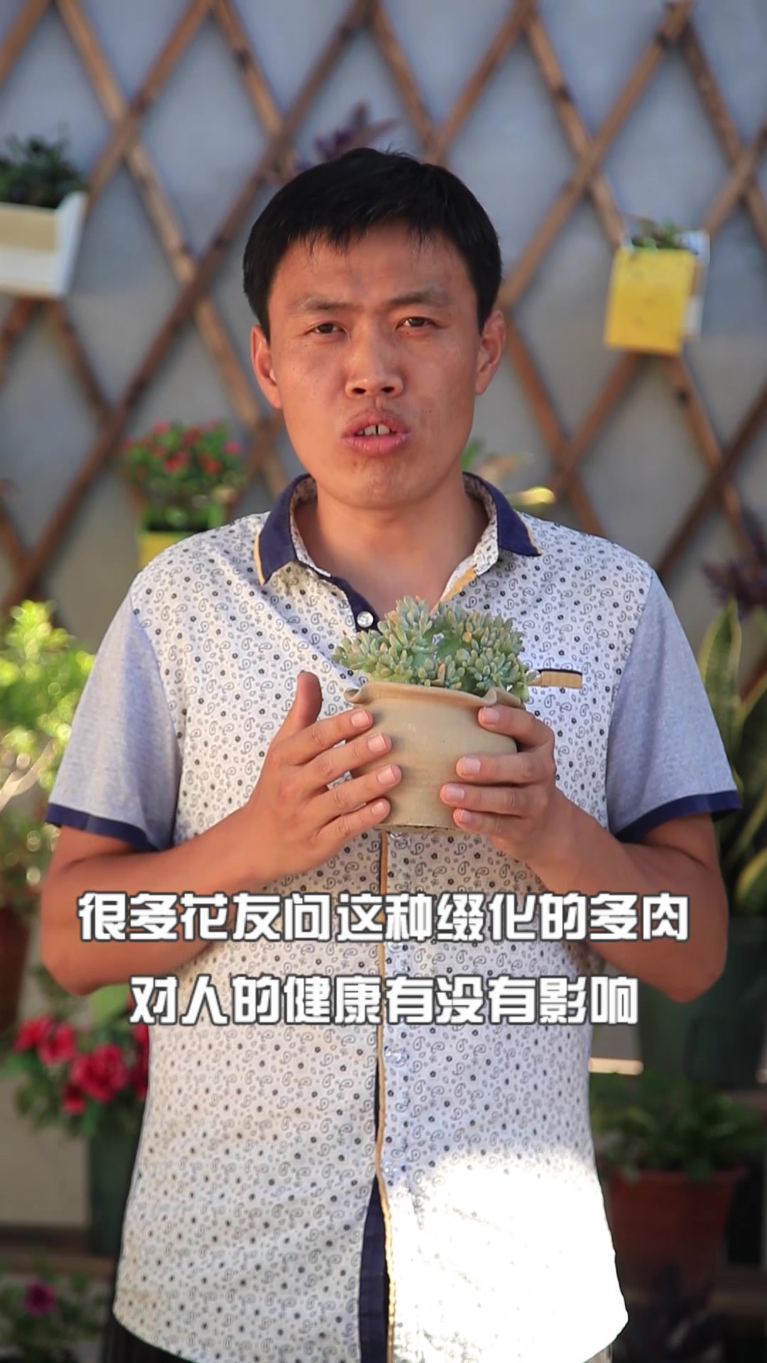 多肉的缀化,您是否真的明白它发生的意义