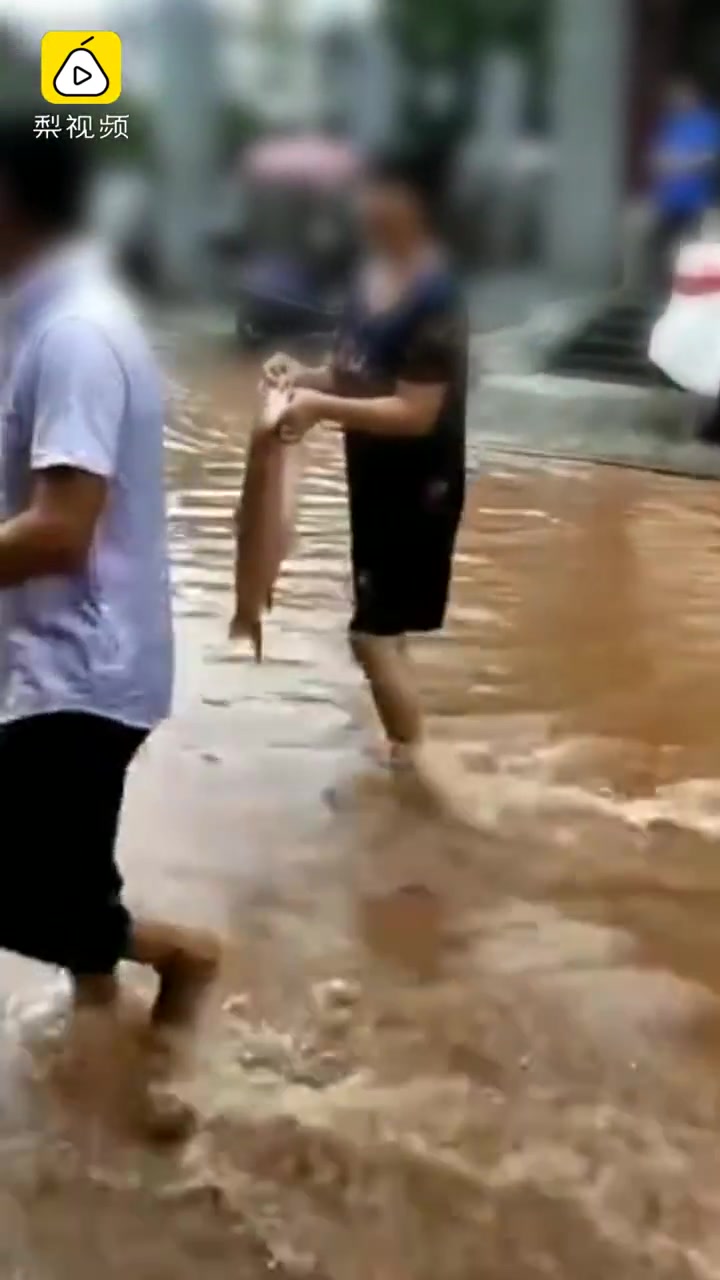 湖南攸县暴雨水库放水鱼群满天飞,市民捞鱼排满小水沟