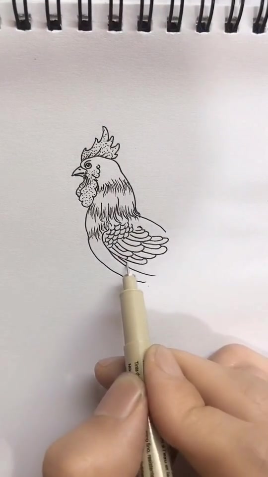 这是个高手,徒手画大公鸡,鸡的表情都画出来了