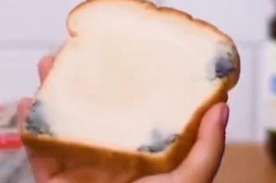 【这些看似没用的东西,竟然如此神奇】食物放坏了怎么办?喝剩的汽水、丢弃的鸡蛋壳、发霉的面包