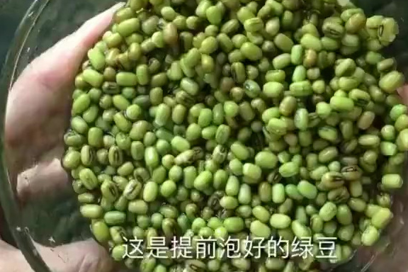 【自制绿豆雪糕】软糯不硬,无任何添加剂。做法简单又好吃,美食get√