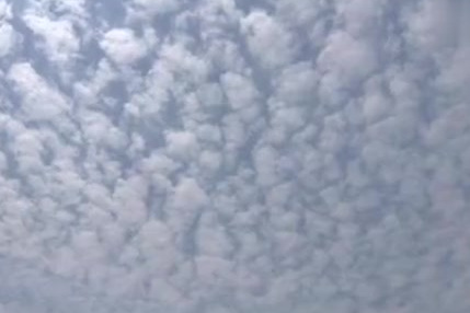 【抬头看!北京天空又现鱼鳞云】今天上午,北京天空再现“鱼鳞云”,据中国天气网气象分析师王伟