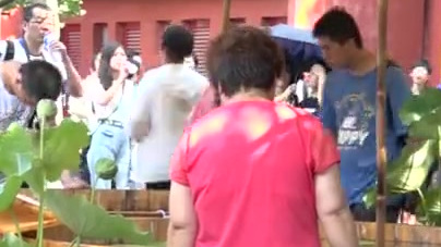 【延禧宫来了200条罕见金鱼 清宫“木海观鱼”场景重现】通体金黄的王字虎头、黑白相间的熊猫
