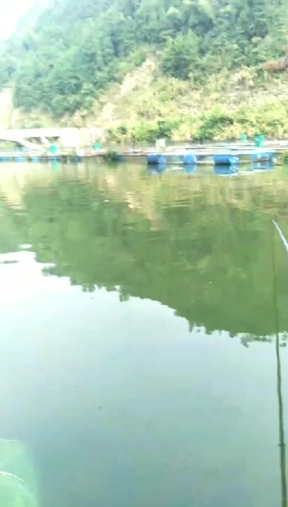 驾车五小时到安化柘溪水库支流垂钓,差点打龟