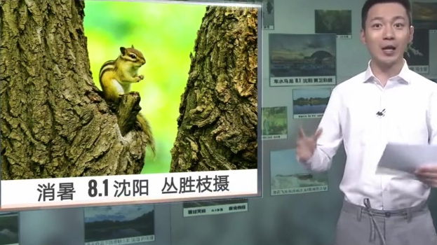 【辽宁:多地小雨+大雨+大暴雨  气温略降】2日白天丹东地区及普兰店、瓦房店、庄河、岫岩、