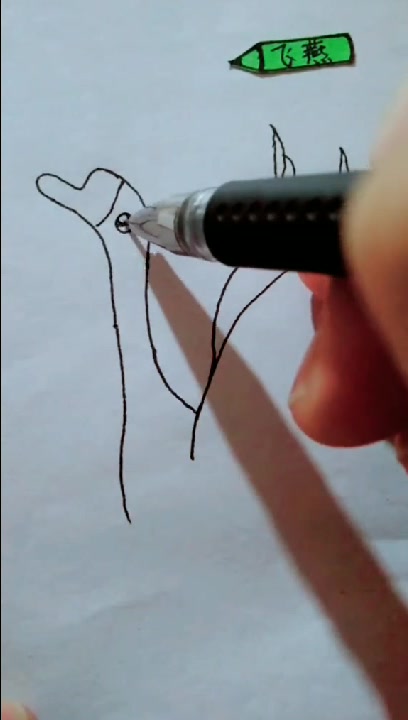 简笔画展翅拍水的白鹅