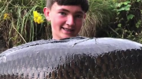 【近两个世纪最大!英国15岁男孩钓到24斤巨型鲤鱼】7月27日,英国索尔福德一名15岁男孩