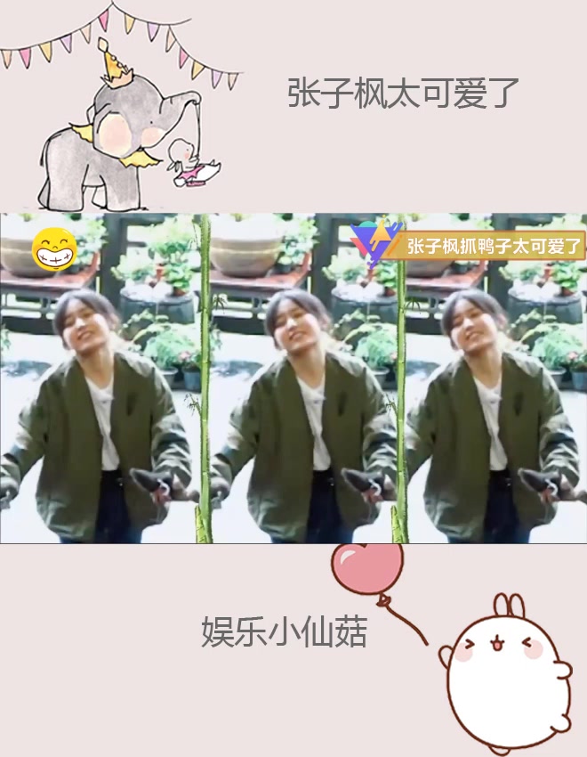 张子枫抓鸭子的表情太可爱:妹妹性格真好!