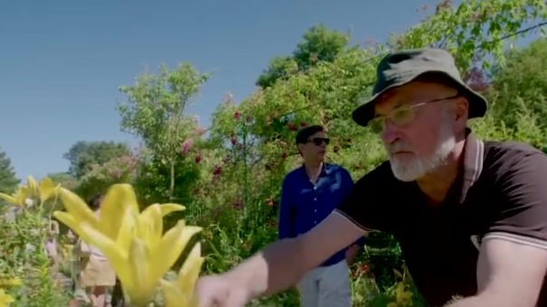 【莫奈名画背后有一座花园】1883年,法国印象派之父莫奈建了一座花园,园中的许多迷人景色永