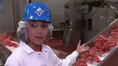 【揭秘中国人造肉研发:中国首款人造肉9月上市,口感质地与美国仍有差距】8月8日起汉堡王在全