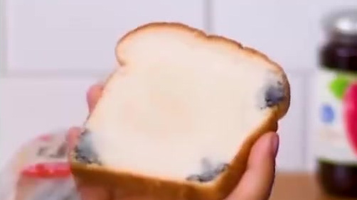 【神奇的生活小妙招】食物放坏了怎么办?喝剩的汽水、丢弃的鸡蛋壳、发霉的面包,其实都可以变废