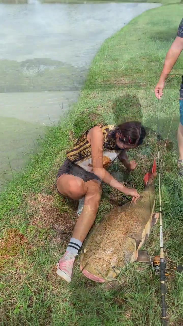 好大一条发财猫鱼,得有上百斤了