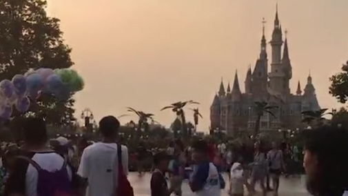 【上海迪士尼零食可携带入园 工作人员翻包逐个检查后允许进入】8月13日,上海迪士尼被指侵犯