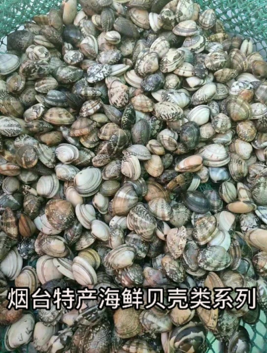 2019年烟台休渔期即将结束,各种海鲜琳琅满目抢先看!