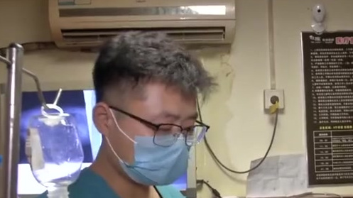 【不爱请别伤害!被收养犬只小区内遭枪袭,铅弹贯穿腹部流血不止,公安已立案调查】8月21日长