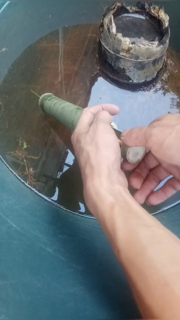 用竹子做的针筒给鸭子打针,估计打完之后,可以直接吃鸭肉了