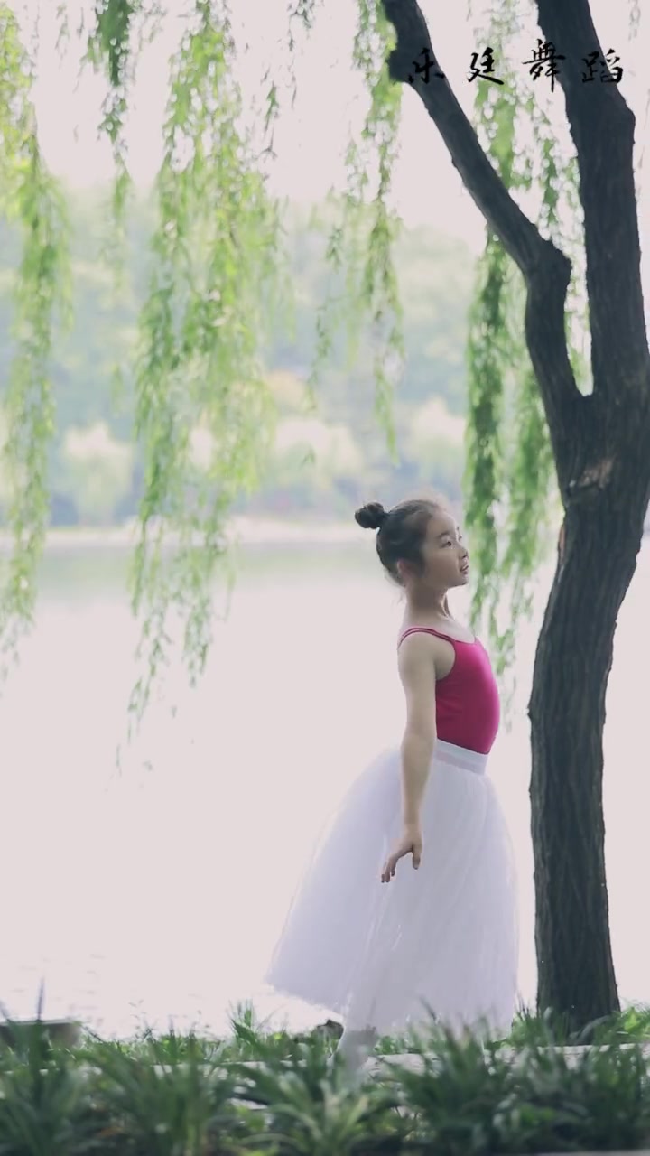 芭蕾舞:小妹妹带来一段唯美的芭蕾舞,小天鹅太美了!