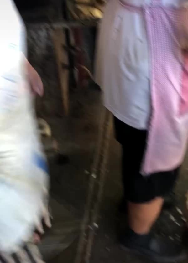 烧饼夹皮渣,我赌10包辣条,吃过这个的人不多!