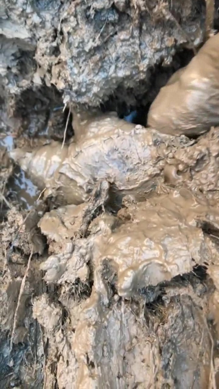 大哥在地里发现一个出气孔,里面居然有只甲鱼,正宗的中华田园甲