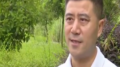 【“二师兄”价格上涨了,鸡肉价格怎么走?】鸡肉在我国是仅次于猪肉的第二大肉类消费品种,猪肉