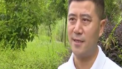【猪肉价格上涨了 鸡肉价格怎么走?】鸡肉在我国是仅次于猪肉的第二大肉类消费品种,猪肉价格上