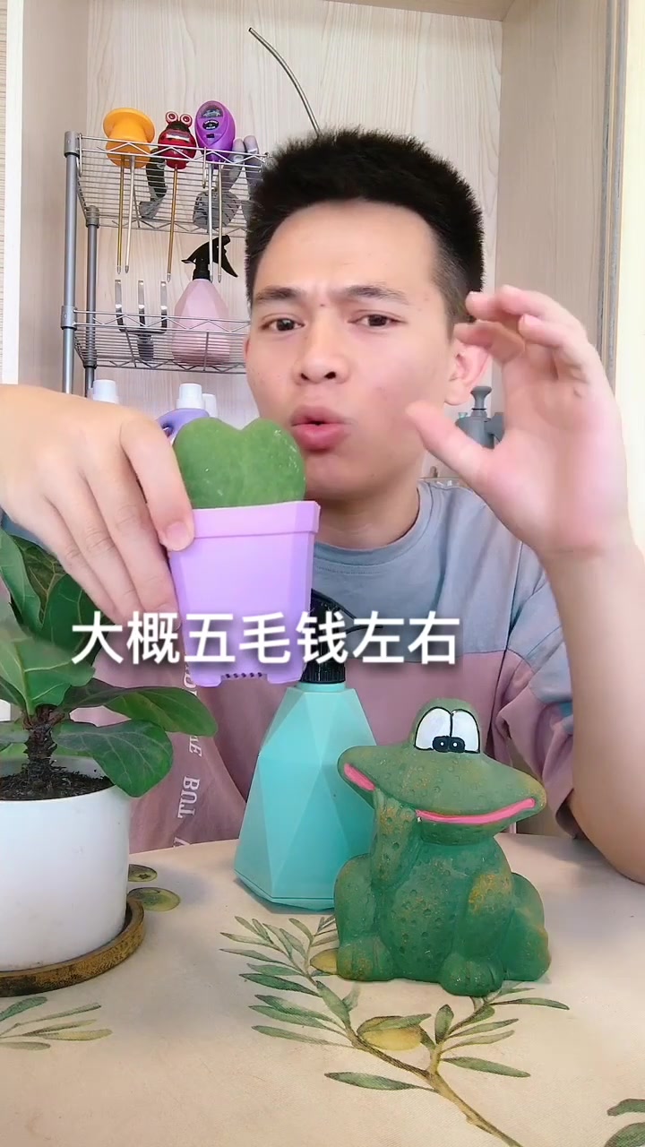 “爱心小”多肉,搭配5毛钱的盆,这个搭配“掉价”吗?