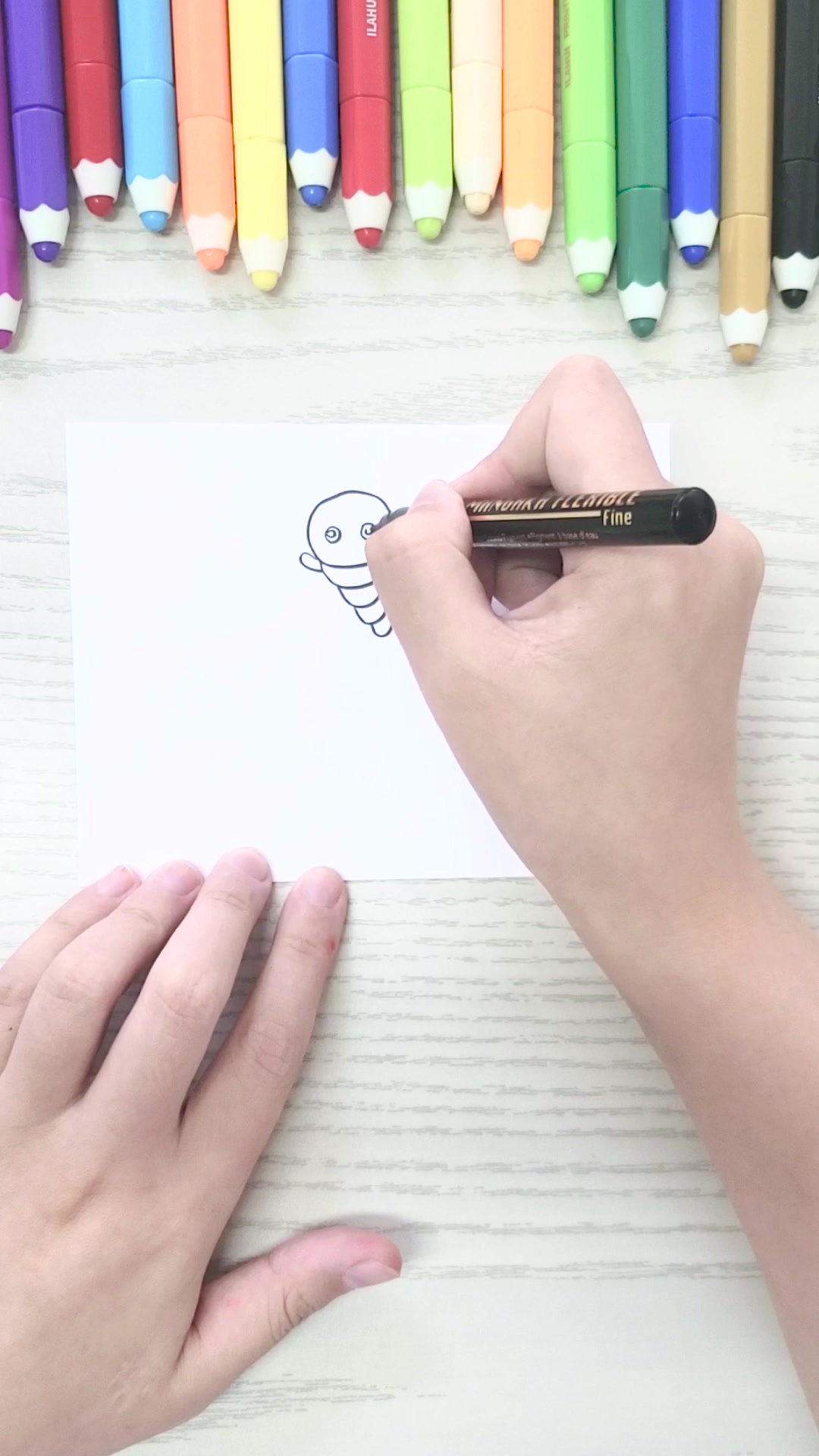 小喵简笔画——蚕