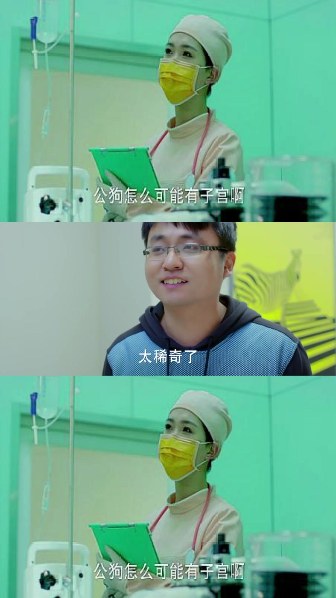 医生给公狗做手术,护士一看傻眼了,里面竟然会有个子宫!