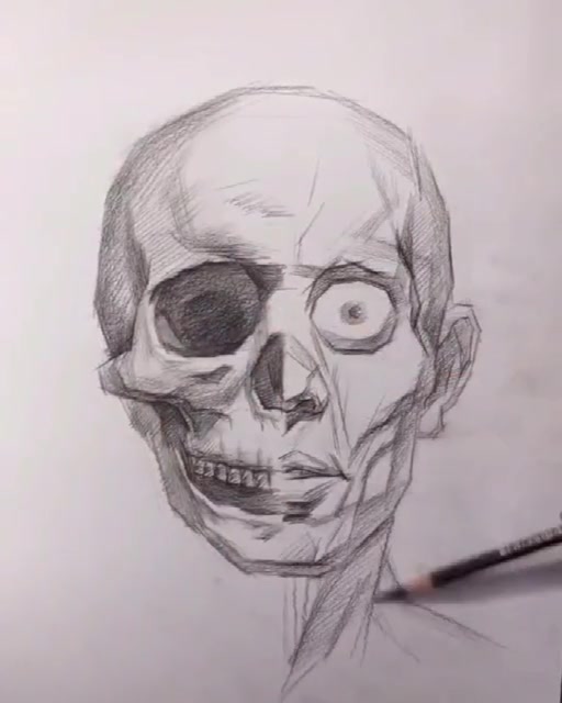 头部骨骼与肌肉,学素描必须了解的知识