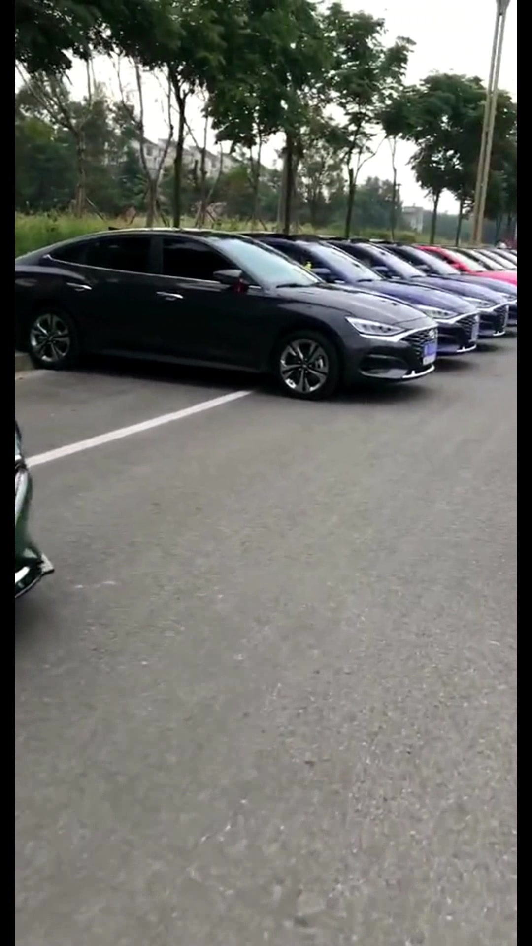 一排菲斯塔震撼我的视觉!鲶鱼嘴是真的帅