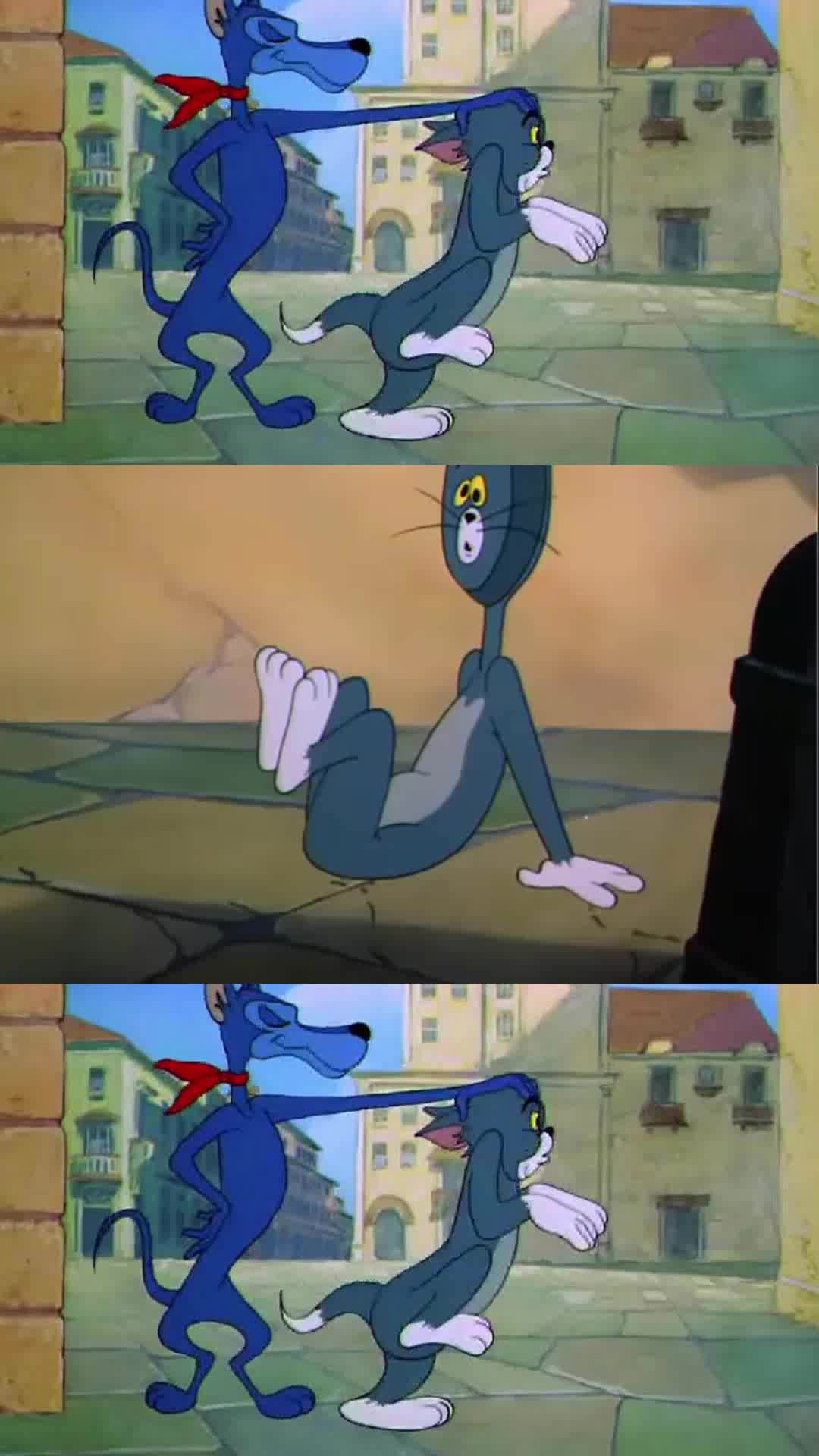 汤姆猫真是个怂包,被蓝狗打了,还得靠杰瑞给他替它出气