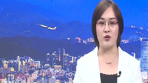 【新党派员出征2020 郁慕明安抚韩粉:不必担心,我们去打蔡英文】新党推出杨世光参选202